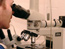 Service Focus - Testing