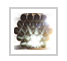 Focus on: Caparo Tubes India