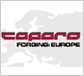 Caparo Forging: Europe
